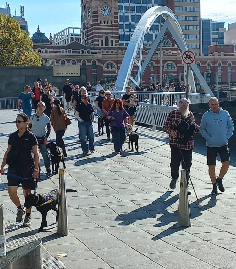 Guide Dogs Walk Walk for International Guide Dog Day - Deafblind Victoria